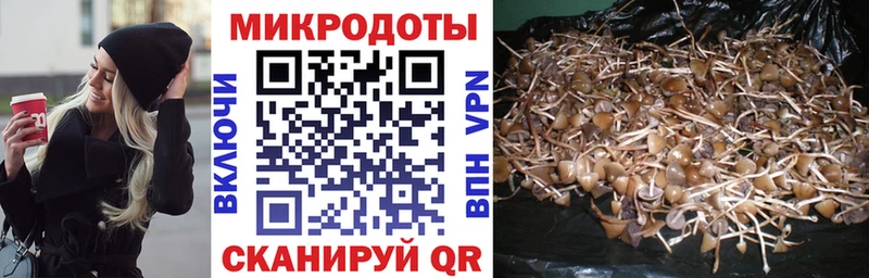 Псилоцибиновые грибы ЛСД  мега рабочий сайт  Горячеводский  сколько стоит 